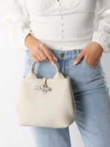 Longchamp Le roseau Handtas Beige-vue-porte